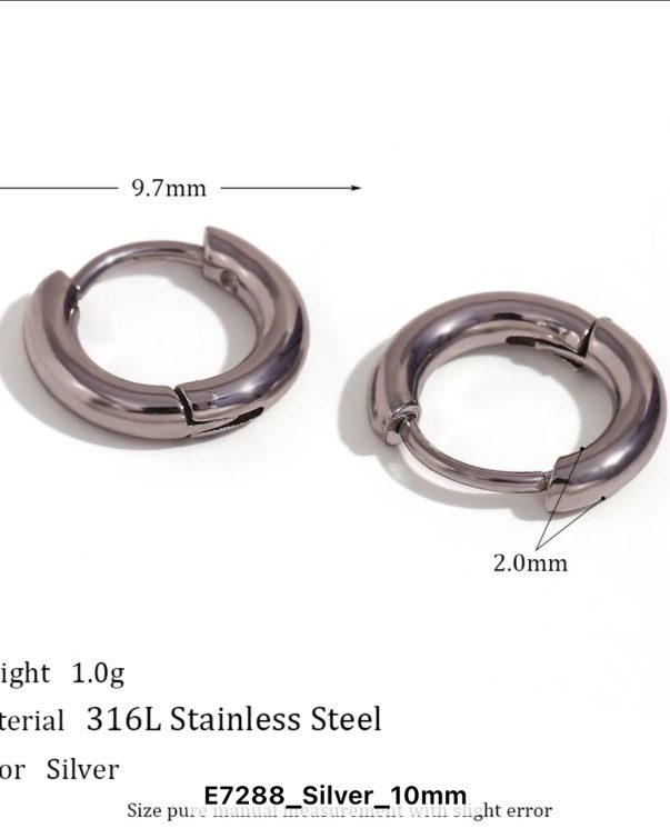 Sliver Plated Stainless Steel Minimal Hoop Earrings