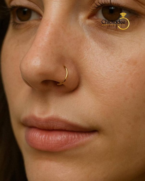 1Pc G23 Titanium Hinged Segment Nose Ring