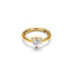 Heart Daith High Quality Titanium Hoop Nose Ring