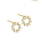 925 Sterling Silver Gold Plated Star Zirconia Diamond Stud Earring.