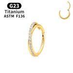 Zircon Twisted Conch Hoop with stones