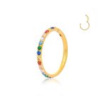 G23 Titanium Piercing Rainbow Seamless Segment Nose Ring
